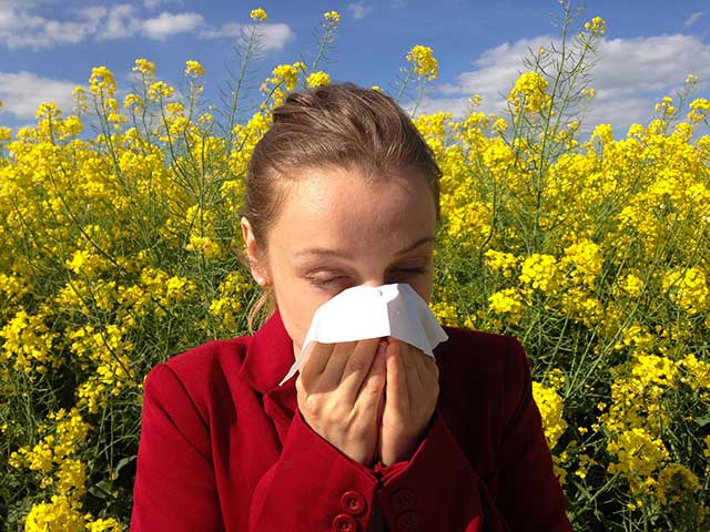 Screening Allergie